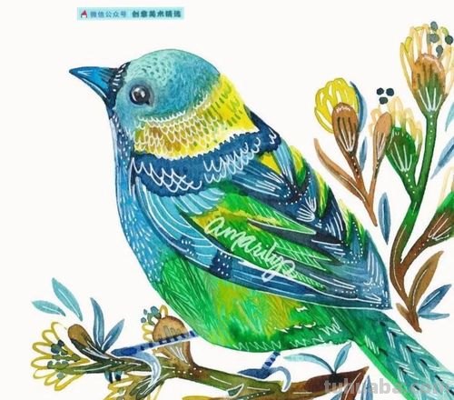 色彩鸟的画法——让你的画作更加生动有趣！ 