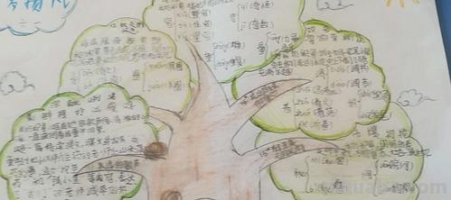 思维导图可以做什么 思维导图可以写什么？