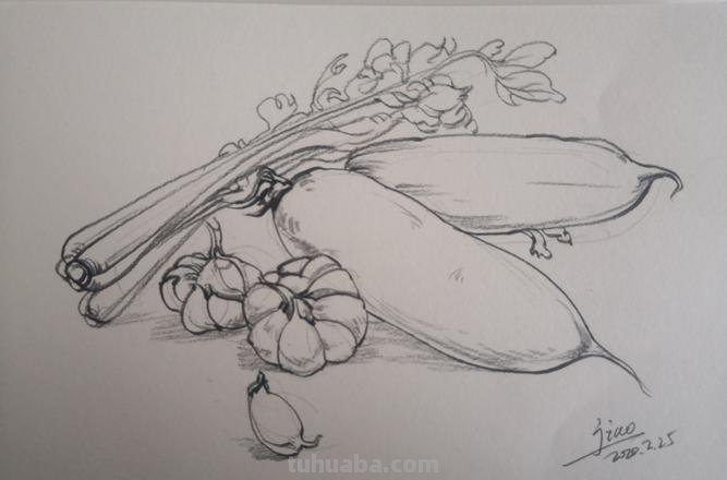 蔬菜摊速写 素描蔬菜类怎样画？