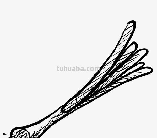 蔬菜摊速写 素描蔬菜类怎样画？