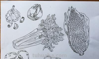 蔬菜摊速写 素描蔬菜类怎样画？
