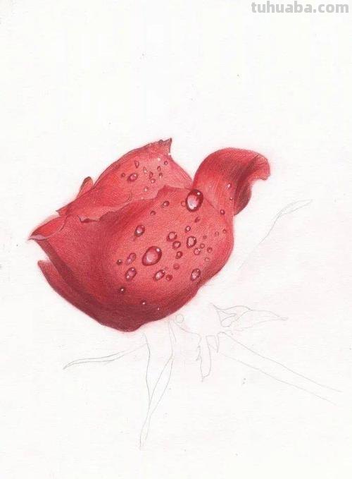 教你怎么使用彩铅画 一步一步教彩铅画？