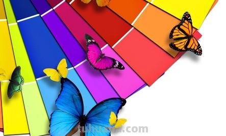 生活中，如何添加色彩？ 