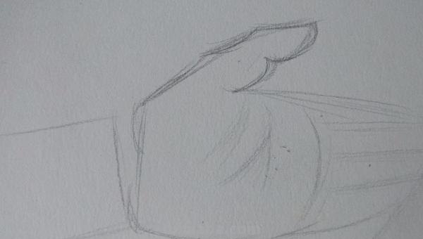 单手画技巧速写 速写怎么解决线条流畅问题? 单手画技巧速写 速写怎么解决线条流畅问题?