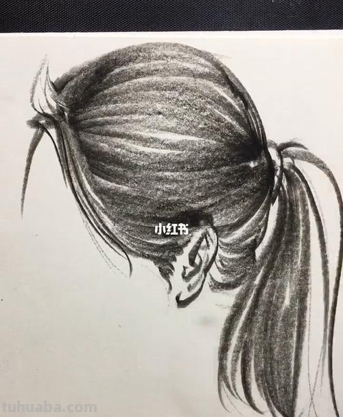 速写马尾女 速写头发万能公式?