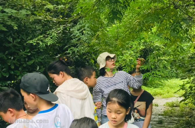 丛林里的四季,让孩子从小做小小自然观察家