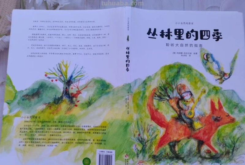 丛林里的四季，让孩子从小做小小自然观察家