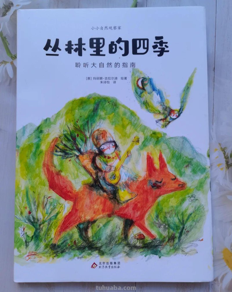丛林里的四季，让孩子从小做小小自然观察家