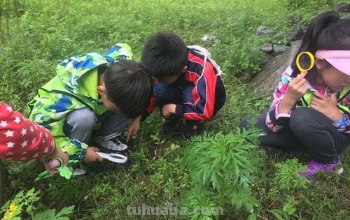 丛林里的四季,让孩子从小做小小自然观察家
