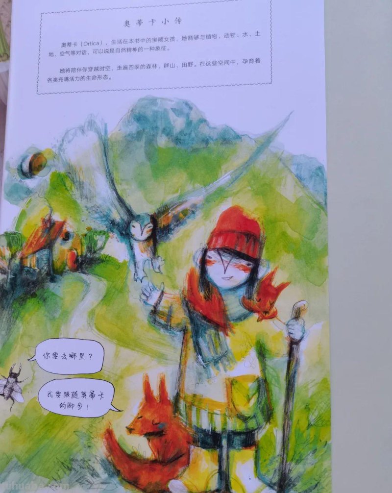 丛林里的四季，让孩子从小做小小自然观察家