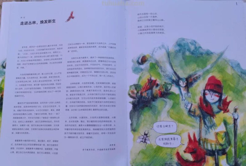 丛林里的四季，让孩子从小做小小自然观察家
