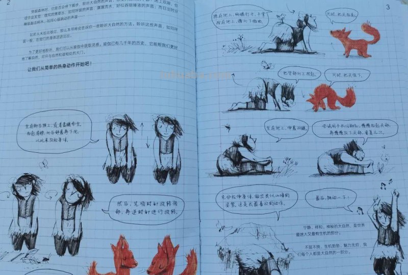 丛林里的四季，让孩子从小做小小自然观察家