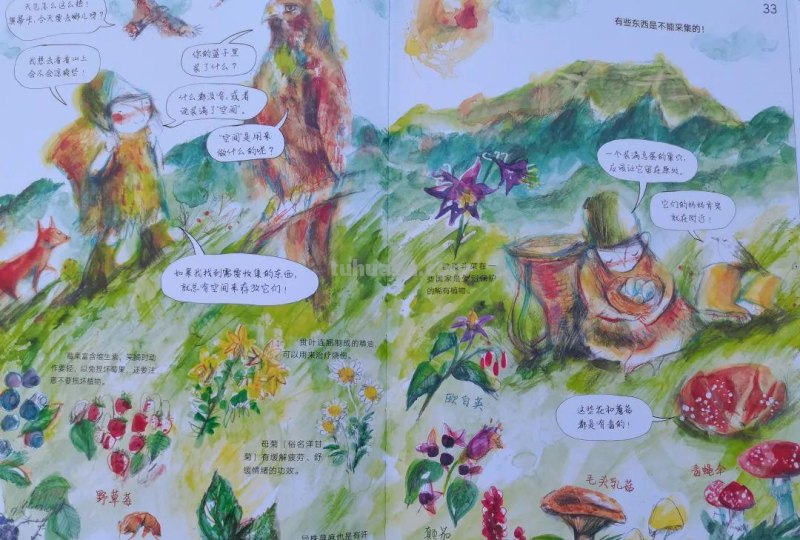 丛林里的四季，让孩子从小做小小自然观察家