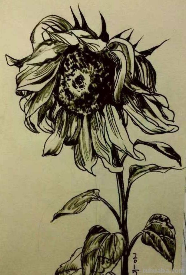 中铁十五局五公司尤昆速写作品选欣赏