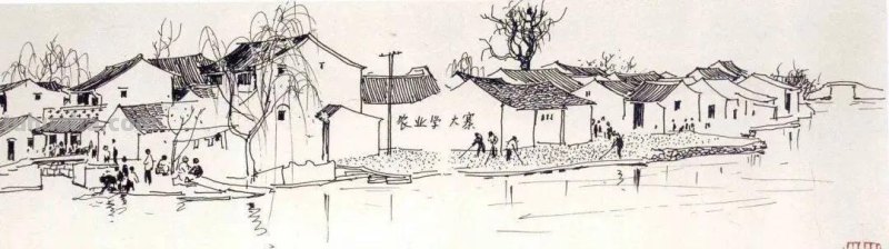 吴冠中的速写：寥寥几笔，便是一整个江南