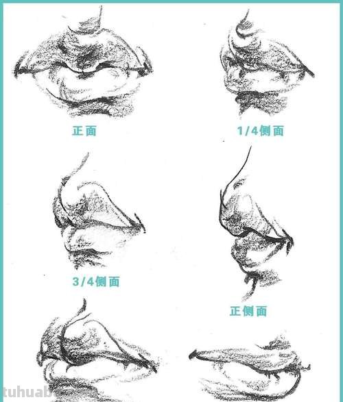 线性的速写 速写局部嘴巴线形的画法？