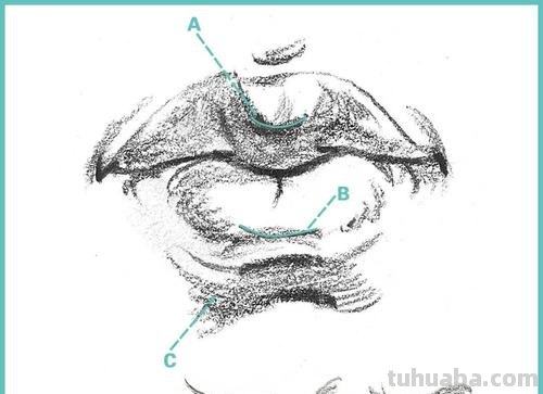 线性的速写 速写局部嘴巴线形的画法？