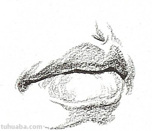 线性的速写 速写局部嘴巴线形的画法？