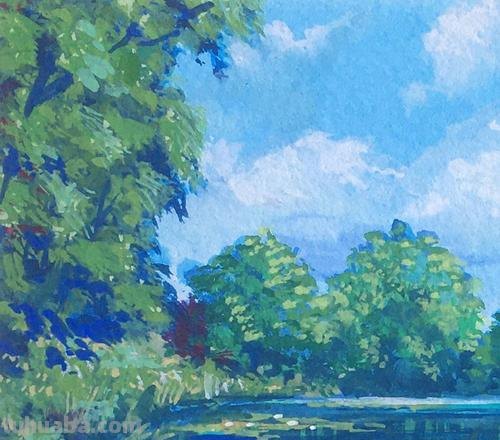 夏天的色彩风景 