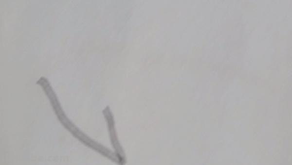 画茄子怎么画简笔画 茄子简笔画如何画? 画茄子怎么画简笔画 茄子简笔画如何画?