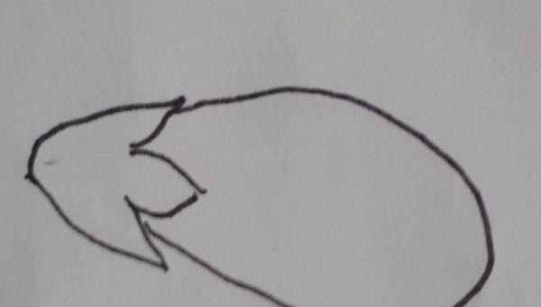 画茄子怎么画简笔画 茄子简笔画如何画? 画茄子怎么画简笔画 茄子简笔画如何画?