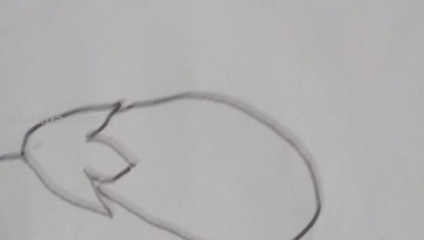 画茄子怎么画简笔画 茄子简笔画如何画? 画茄子怎么画简笔画 茄子简笔画如何画?