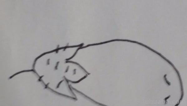 画茄子怎么画简笔画 茄子简笔画如何画? 画茄子怎么画简笔画 茄子简笔画如何画?