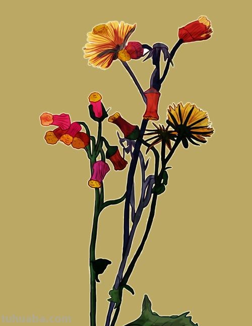 色彩装饰花及色彩装饰花卉——让你的生活充满色彩 