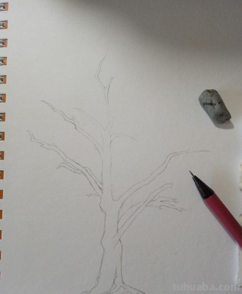 彩铅国画树干怎么画 怎么使用彩铅画树？