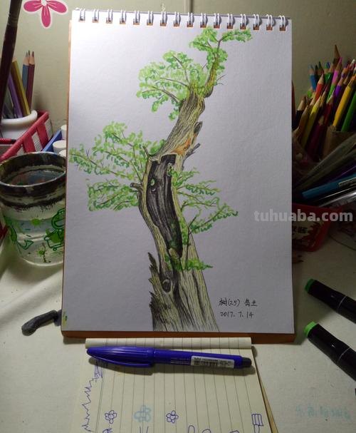 彩铅国画树干怎么画 怎么使用彩铅画树？