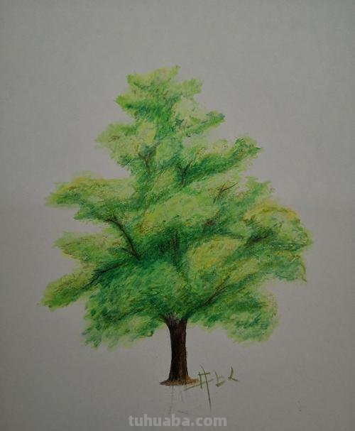 彩铅国画树干怎么画 怎么使用彩铅画树？