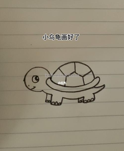 怎么画乌龟的简笔画 画乌龟的正确方法？
