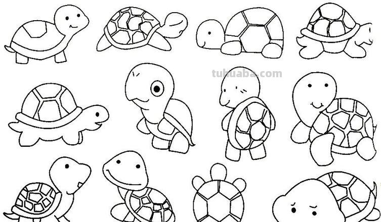 怎么画乌龟的简笔画 画乌龟的正确方法?