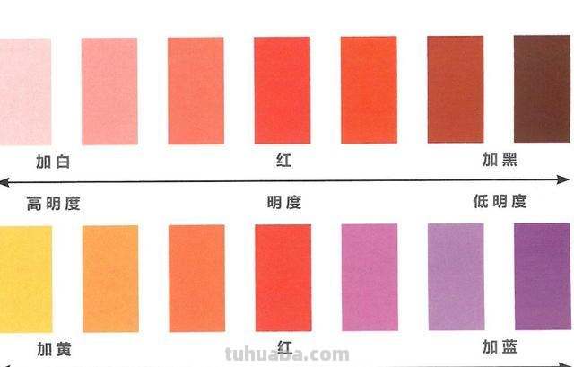 色彩与彩色的区别,你了解吗?