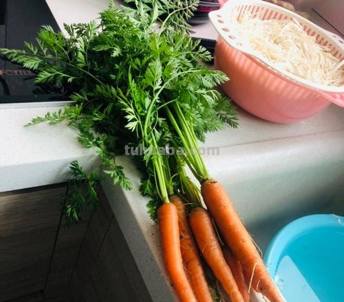 在家怎样种胡萝卜？“懒人”种胡萝卜的懒方法