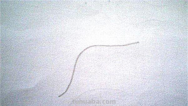 面条的简笔画怎么画 面条的笔画? 面条的简笔画怎么画 面条的笔画?
