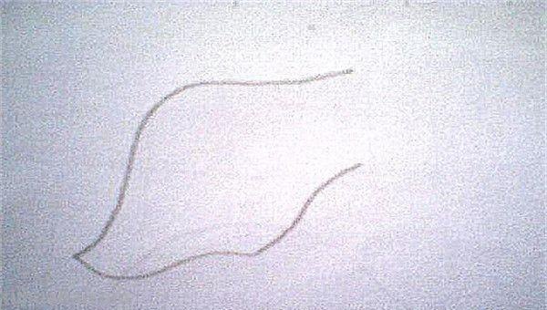 面条的简笔画怎么画 面条的笔画? 面条的简笔画怎么画 面条的笔画?