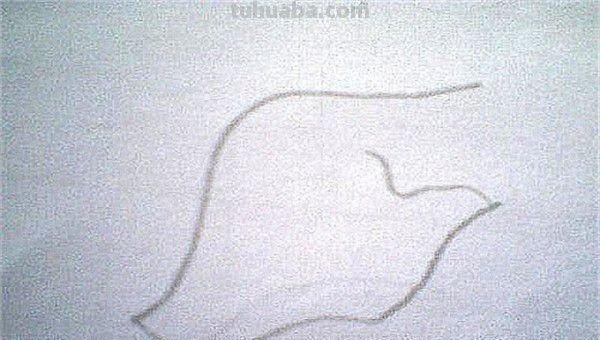 面条的简笔画怎么画 面条的笔画? 面条的简笔画怎么画 面条的笔画?