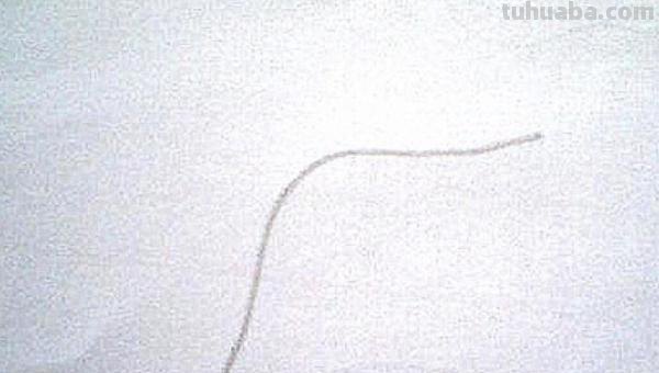 面条的简笔画怎么画 面条的笔画? 面条的简笔画怎么画 面条的笔画?