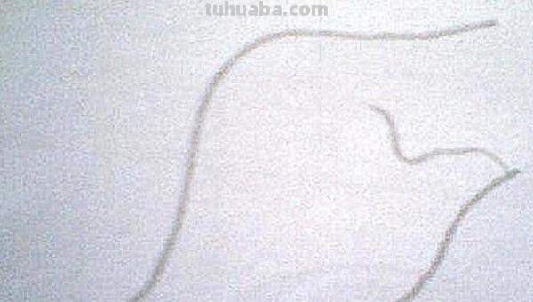 面条的简笔画怎么画 面条的笔画? 面条的简笔画怎么画 面条的笔画?