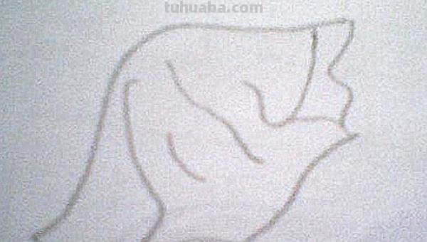 面条的简笔画怎么画 面条的笔画? 面条的简笔画怎么画 面条的笔画?