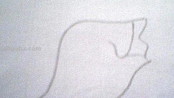 面条的简笔画怎么画 面条的笔画? 面条的简笔画怎么画 面条的笔画?