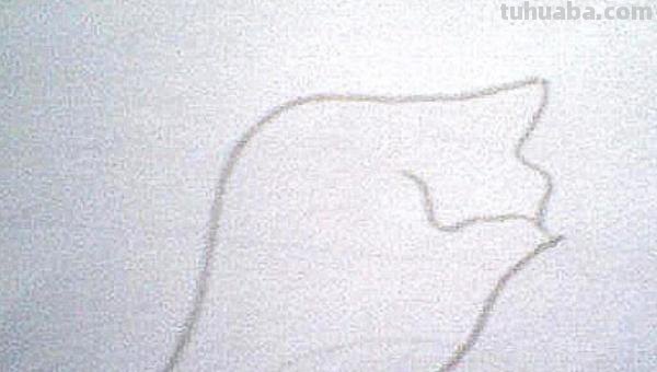 面条的简笔画怎么画 面条的笔画? 面条的简笔画怎么画 面条的笔画?