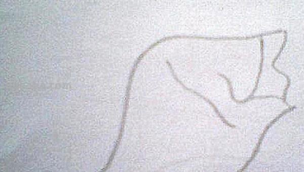 面条的简笔画怎么画 面条的笔画? 面条的简笔画怎么画 面条的笔画?