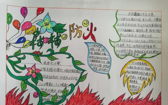 森林防火手抄报内容怎么写 森林草原防火手抄报内容？