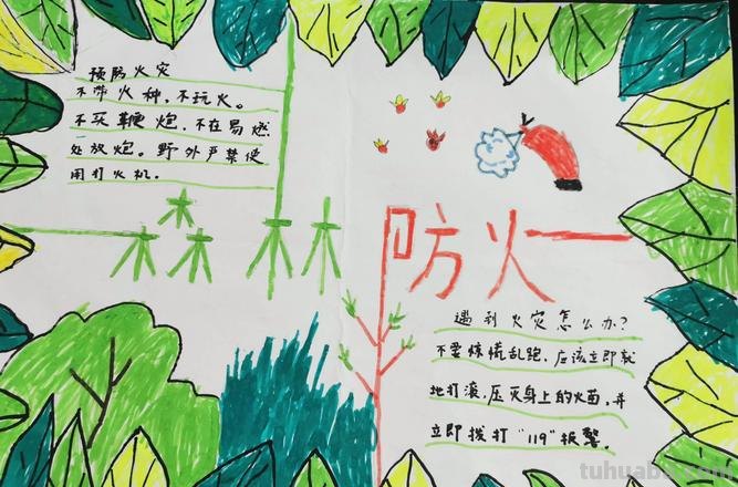 森林防火手抄报内容怎么写 森林草原防火手抄报内容?