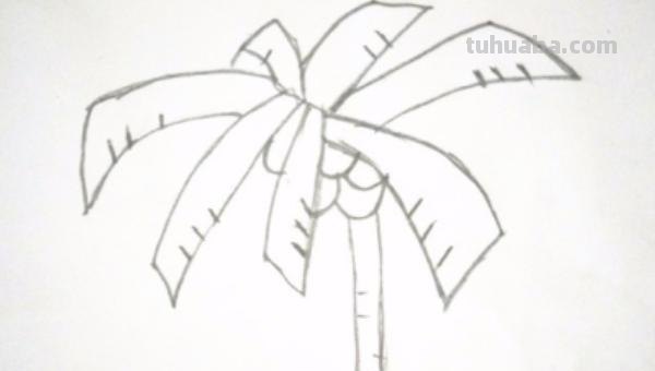 大海里有什么简笔画 海洋简笔画怎么画？