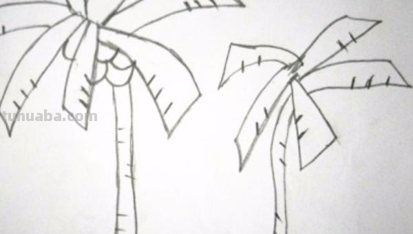 大海里有什么简笔画 海洋简笔画怎么画？