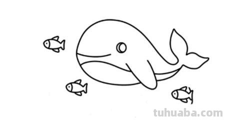 大海里有什么简笔画 海洋简笔画怎么画？