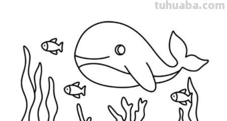 大海里有什么简笔画 海洋简笔画怎么画？
